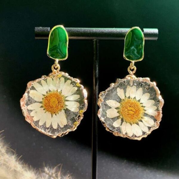 Real Flower Daisy Flower Round Resin Earrings